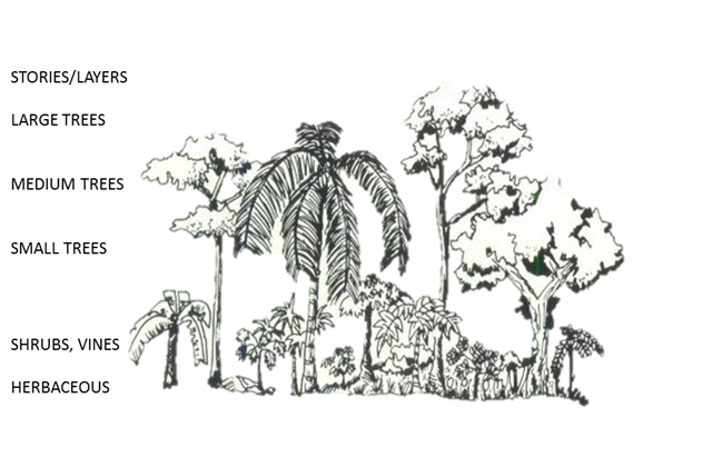 Image illustrating side view